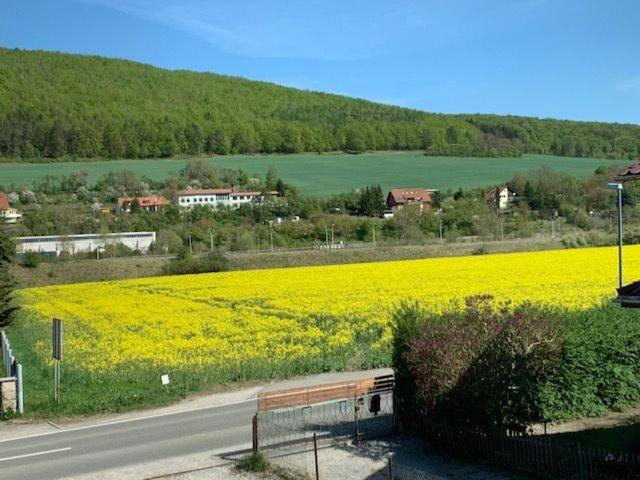 Ferienwohnung Werratal Obermassfeld-Grimmenthal Exterior photo